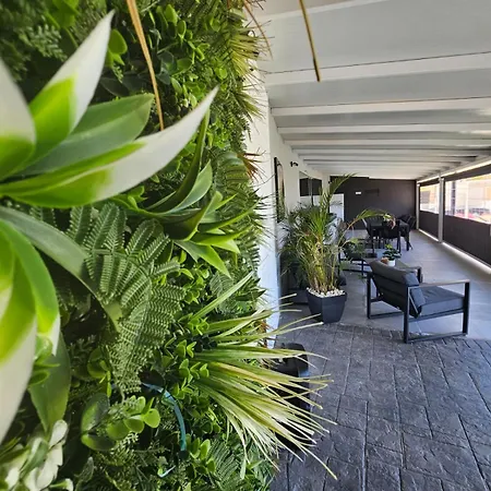 Nahuel * 圣克鲁斯-德特内里费