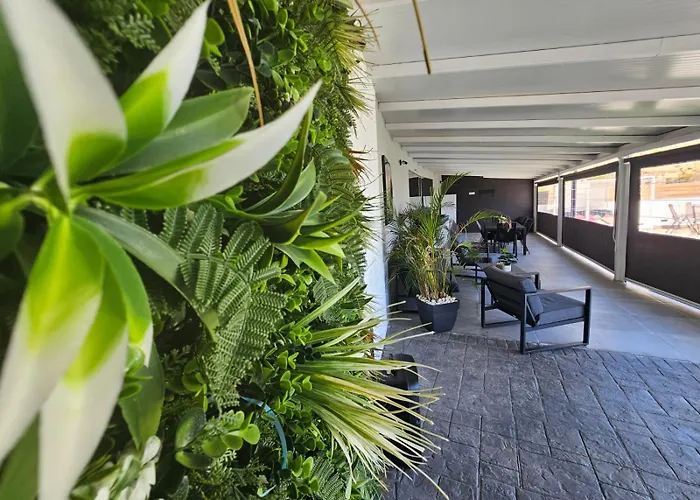 Nahuel * 산타크루스데 테네리페